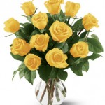 dozen-yellow-roses